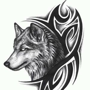 Meet your Posher, Al